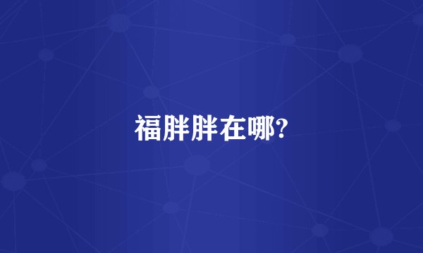 福胖胖在哪?