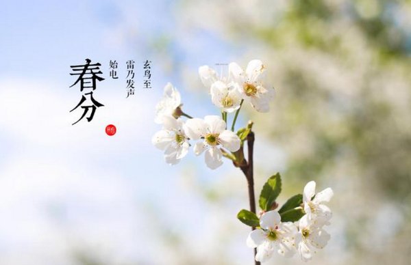 仲春是什么时候