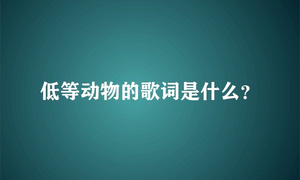 低等动物的歌词是什么？