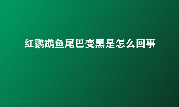 红鹦鹉鱼尾巴变黑是怎么回事