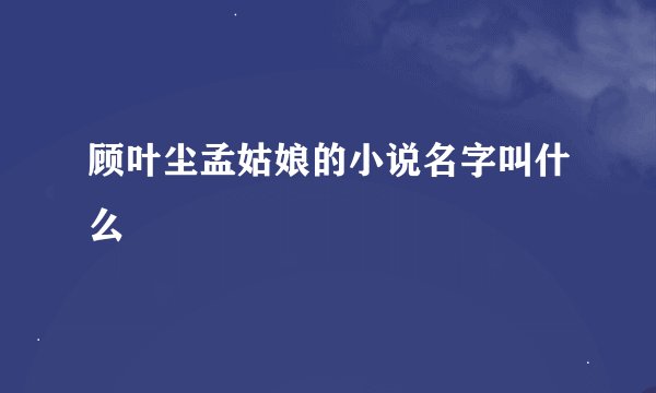 顾叶尘孟姑娘的小说名字叫什么