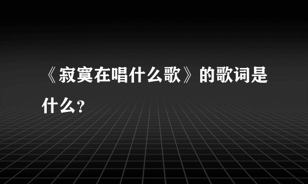 《寂寞在唱什么歌》的歌词是什么？