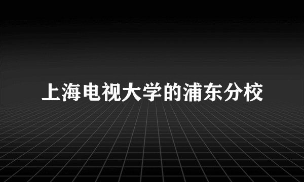 上海电视大学的浦东分校