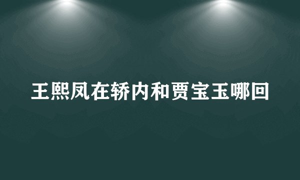 王熙凤在轿内和贾宝玉哪回