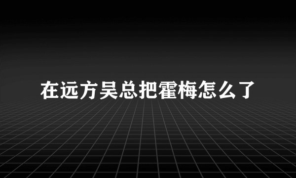 在远方吴总把霍梅怎么了