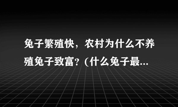 兔子繁殖快，农村为什么不养殖兔子致富？(什么兔子最好养最赚钱？)