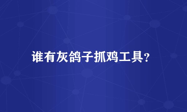 谁有灰鸽子抓鸡工具？
