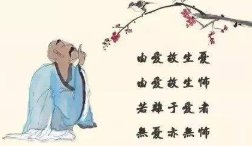 由爱故生忧，由爱故生怖，若离于爱者，无忧亦无怖.什么意思