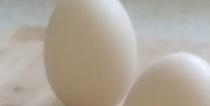 秋分竖蛋是用鸭蛋还是鸡蛋