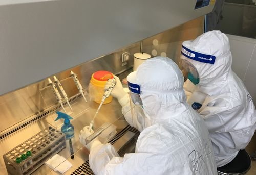 北京核酸检测价格降至19.7元，降价的原因是什么？