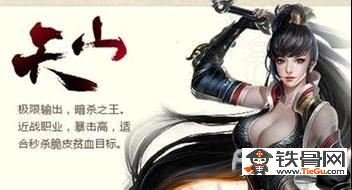 天龙八部天山怎么加点_天龙八部天山怎么加点详细介绍