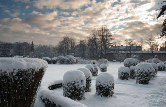 2020年会很冷是真的吗