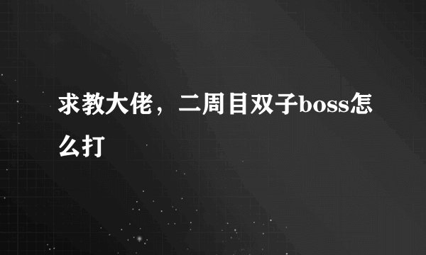 求教大佬，二周目双子boss怎么打