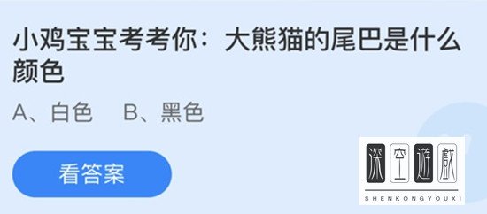 大熊猫的尾巴是什么颜色