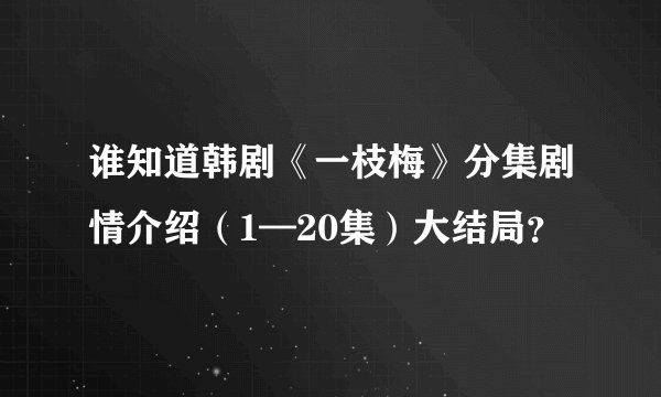 谁知道韩剧《一枝梅》分集剧情介绍（1—20集）大结局？