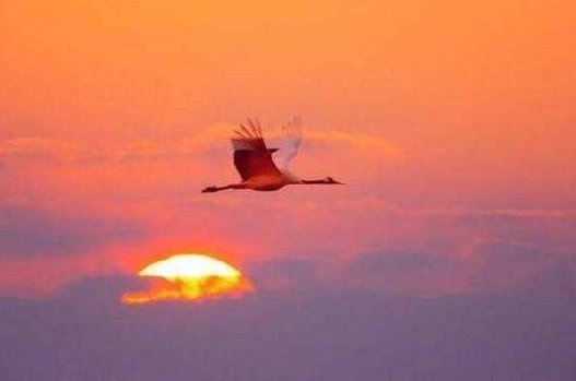 刘大白的诗,最出名