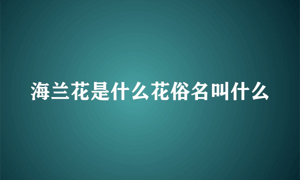 海兰花是什么花俗名叫什么
