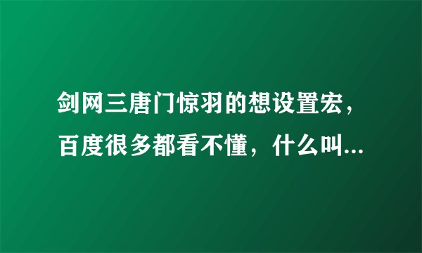 剑网三唐门惊羽的想设置宏，百度很多都看不懂，什么叫一段，二段等，