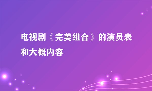 电视剧《完美组合》的演员表和大概内容