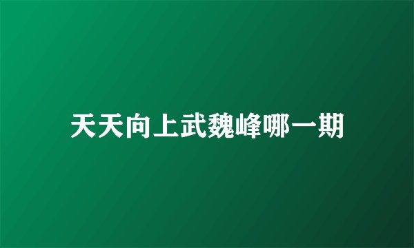 天天向上武魏峰哪一期