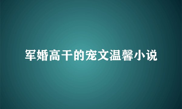 军婚高干的宠文温馨小说