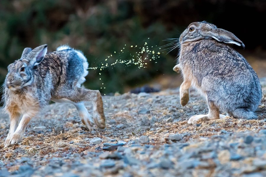 屎滚尿流的解释