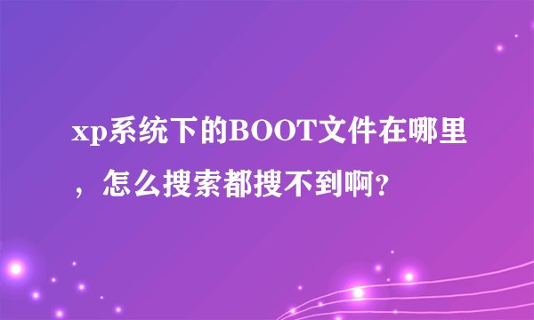xp系统下的BOOT文件在哪里，怎么搜索都搜不到啊？
