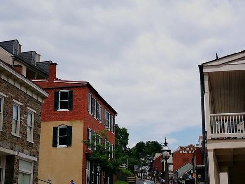 MD是什么意思？