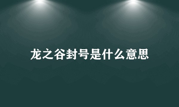 龙之谷封号是什么意思