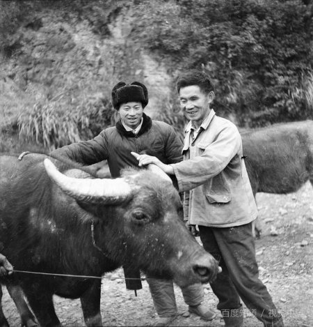 “数九歌”是什么意思？