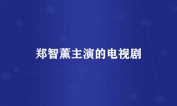 郑智薰主演的电视剧