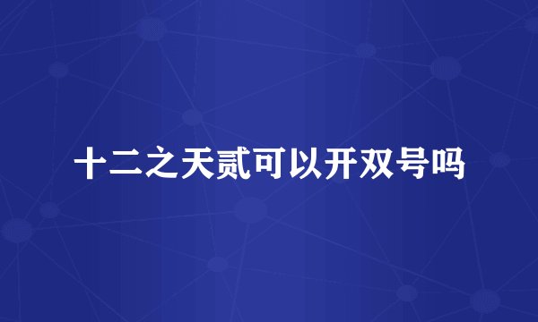 十二之天贰可以开双号吗