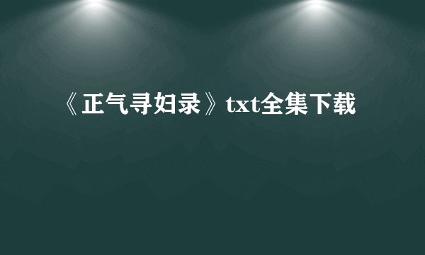 《正气寻妇录》txt全集下载