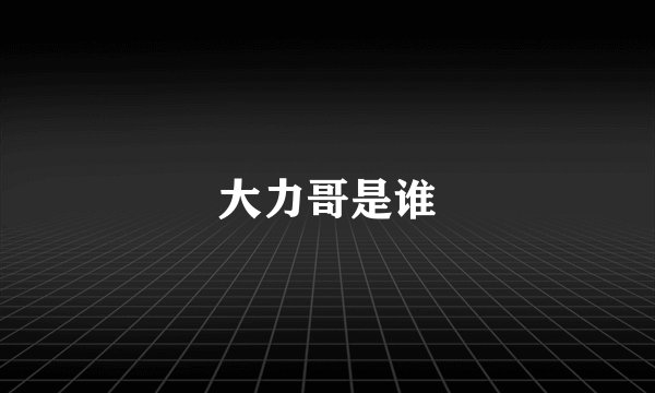 大力哥是谁