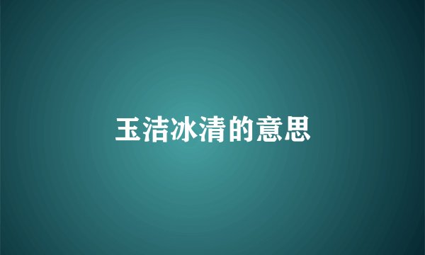 玉洁冰清的意思