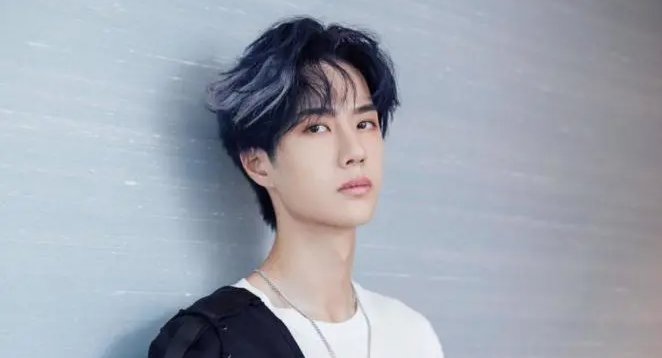 王一博拿到驾照，王一博都说了什么？