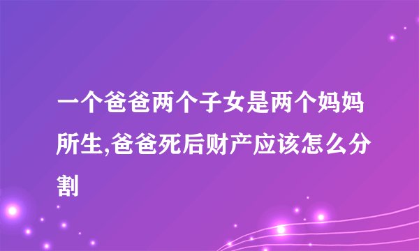 一个爸爸两个子女是两个妈妈所生,爸爸死后财产应该怎么分割