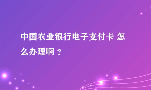 中国农业银行电子支付卡 怎么办理啊 ？