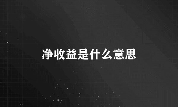 净收益是什么意思