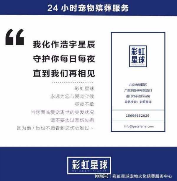狗狗死了后应该怎么处理?