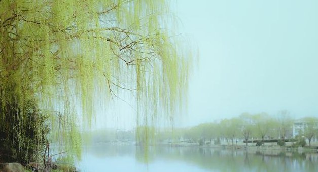 晴明路出山初暖是什么意思