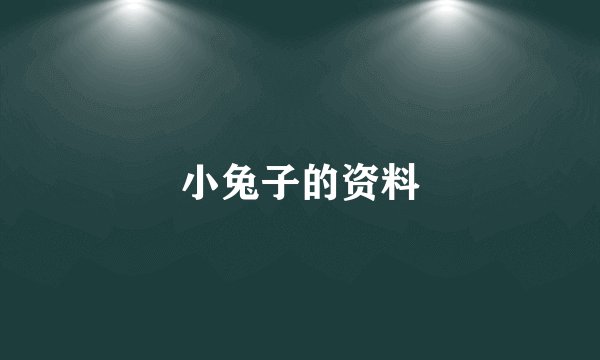 小兔子的资料