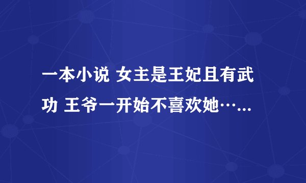 一本小说 女主是王妃且有武功 王爷一开始不喜欢她…女主还喜欢穿白衣服 新婚之夜王爷没有去洞房
