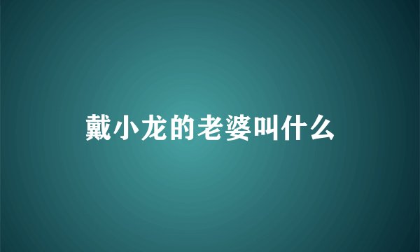 戴小龙的老婆叫什么