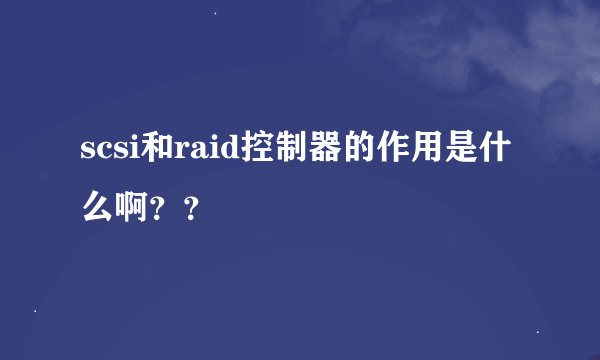 scsi和raid控制器的作用是什么啊？？
