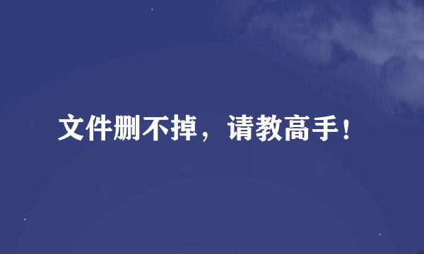 文件删不掉，请教高手！