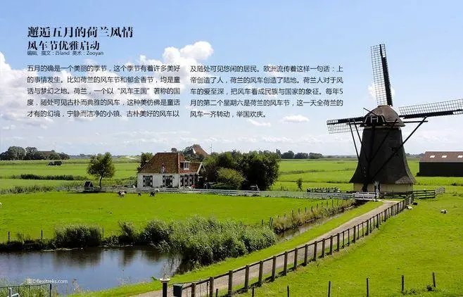 ned是什么意思