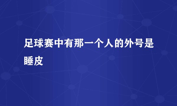 足球赛中有那一个人的外号是睡皮