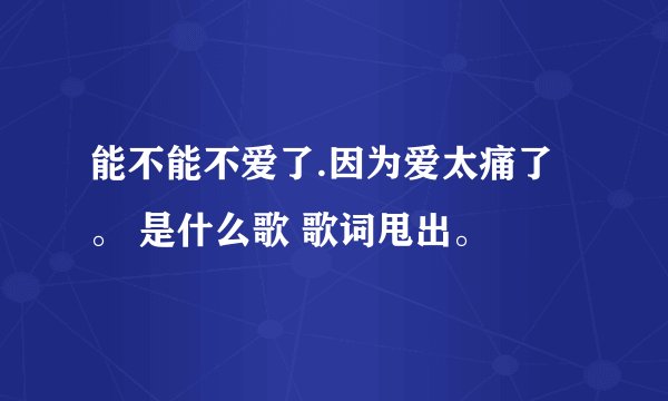 能不能不爱了.因为爱太痛了。 是什么歌 歌词甩出。