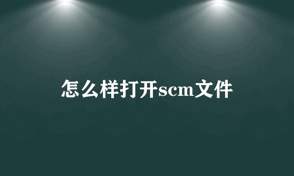 怎么样打开scm文件